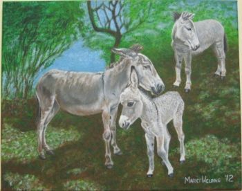 "Donkey Family"