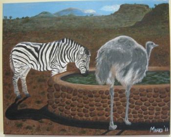 "Zebra and Ostrich"