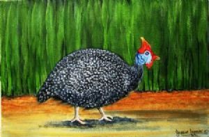 "Guinea Fowl"