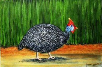 "Guinea Fowl"