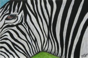 "Eye, the Zebra"