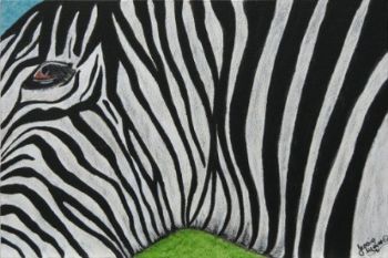 "Eye, the Zebra"