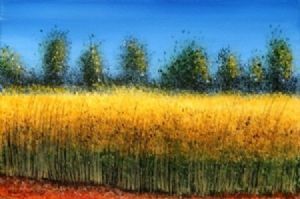 "Sunny Field"