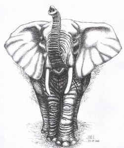 "A Matriarch Searching"