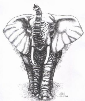 "A Matriarch Searching"
