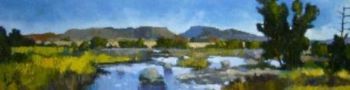 "Blue Karoo"