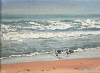 "A Birds Life"