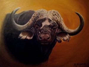 "Buffalo"