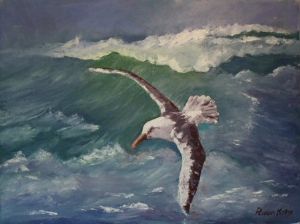 "Sea Bird"