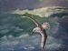 Sea Bird