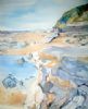 "Sheffield Beach Rocks"