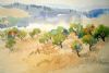 "Protea Landscape"