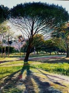 "Cape Stone Pine"