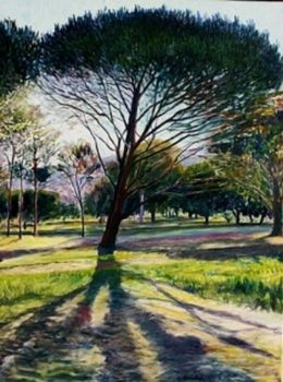 "Cape Stone Pine"