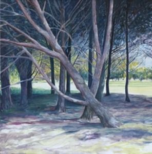 "Cape Shady Spot in the Park"