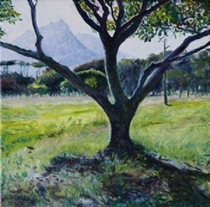 "Cape Owl Tree"