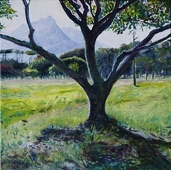 "Cape Owl Tree"