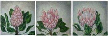 "King Protea Trio"