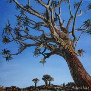 "Beneath the Kokerboom"
