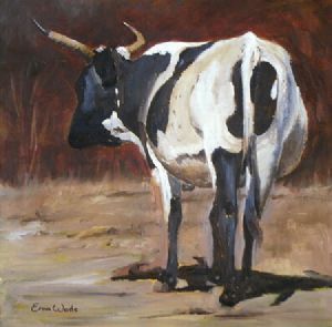 "Nguni 27"