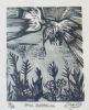 "Birds Quarrelling 12/28"