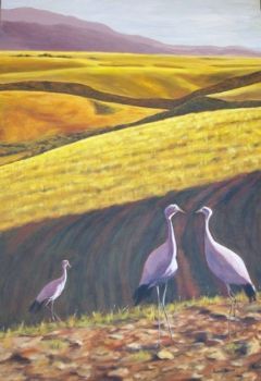 "Blue Cranes, Overberg"