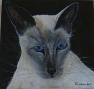 "Siamese"