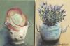 "African Pigs Ear&Bunch of Lavendar"