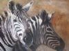 "Zebras Portrait"