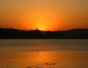 "Morning's Promise"
