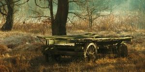 "Forgotten"