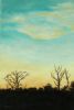 "Dawn"