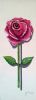 "Single Rose 2"