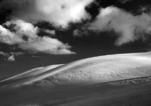 "Dune Beauty"