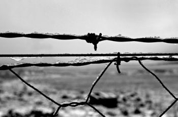 "Icy Wire"