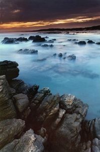 "Ocean Beauty"