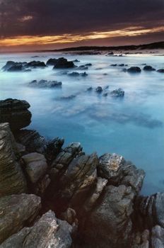"Ocean Beauty"