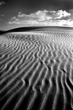 "Desert Waves"