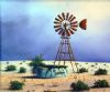 "Karoo Windmill"