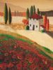 "Flower Field and House- Die Blomme Veld en Huis"