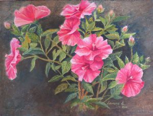 "My Hibiscus"