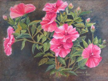 "My Hibiscus"