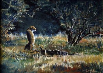 "Cheetah"