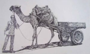 "Rajasthani Camel"