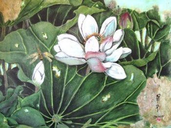 "Lily and Dragonfly 2"