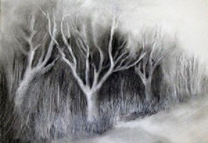 "The Mystery Bush Continued"