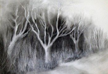 "The Mystery Bush Continued"