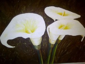 "Arums"