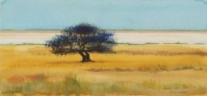 "Etosha Pans"