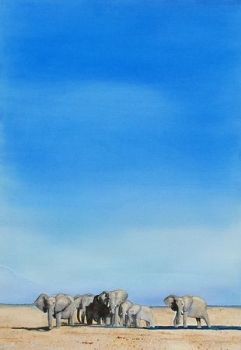 "Desert Elephants"